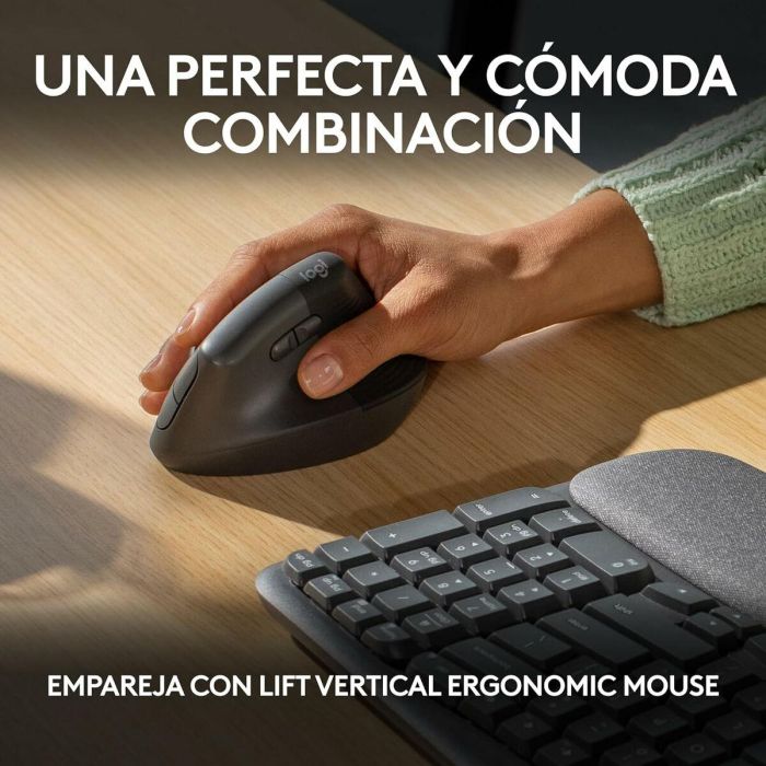 Teclado Logitech 920-012296 Grafito Español QWERTY 4