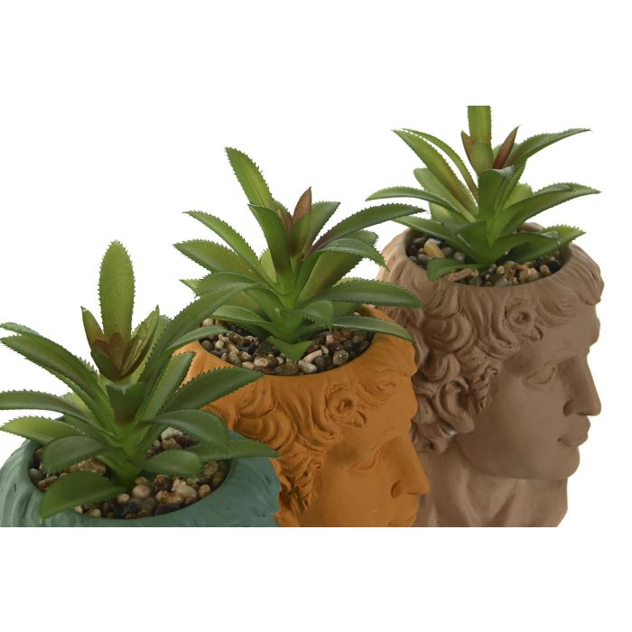 Planta Neoclasico DKD Home Decor Verde Marron 10.5 x 18.5 x 10.5 cm (12 Unidades) 1 Planta Neoclasico DKD Home Decor Verde Marron 10.5 x 18.5 x 10.5 cm (12 Unidades) 1