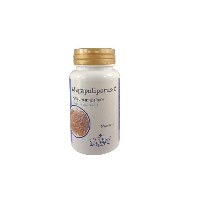 Megapoliporus-C