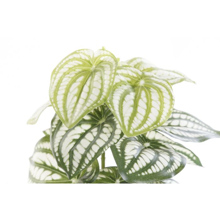 Planta DKD Home Decor Verde Negro 13 x 27 x 13 cm (4 Unidades) 2 Planta DKD Home Decor Verde Negro 13 x 27 x 13 cm (4 Unidades) 2