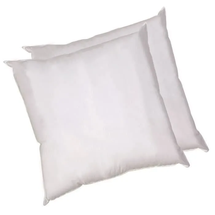 Blanreve Juego de 2 almohadas de algodón 60 x 60 cm Blanco Suave 550 g 2