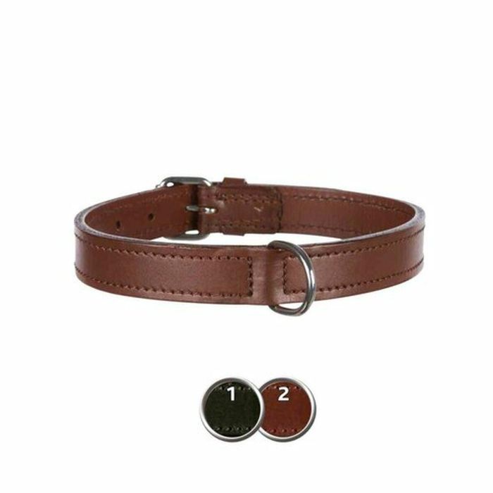 Collar para Perro Trixie Active Negro L/XL 52-63 cm 1