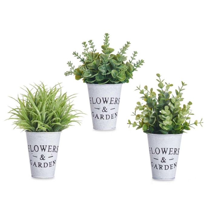 Planta Flor Verde Envejecid Bote Metal 23Cm Surtidos Ibergarden (12 Unidades) 1 Planta Flor Verde Envejecid Bote Metal 23Cm Surtidos Ibergarden (12 Unidades) 1
