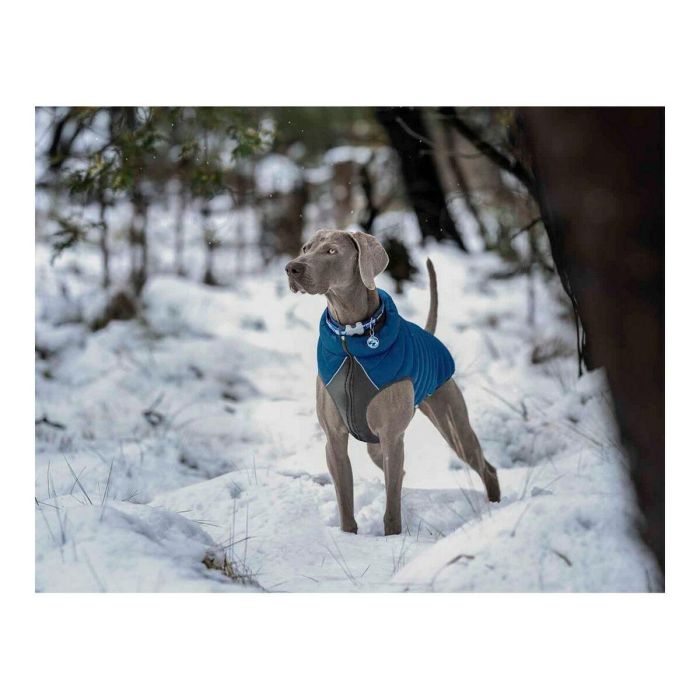 Red Dingo Abrigo Puffer Reversible para Perros, Ligero y Resistente al Viento, con Panel de Neopreno y Detalles Reflectantes, Azul-Turquesa 35 cm 4 Red Dingo Abrigo Puffer Reversible para Perros, Ligero y Resistente al Viento, con Panel de Neopreno y Detalles Reflectantes, Azul-Turquesa 35 cm 4