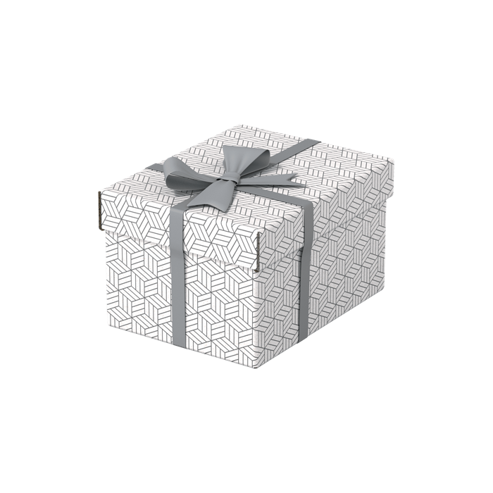 Esselte Caja de Almacenamiento Blanca 628280 Pack 3 Cajas 255x200x150mm 2 Esselte Caja de Almacenamiento Blanca 628280 Pack 3 Cajas 255x200x150mm 2