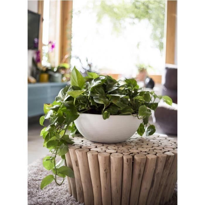 EDA PLASTIQUE - Maceta de lavabo Graphit'Up Ø 40 - 14,9L - Blanco cal 3 EDA PLASTIQUE - Maceta de lavabo Graphit'Up Ø 40 - 14,9L - Blanco cal 3