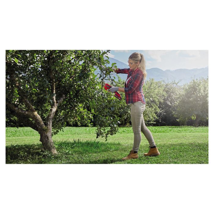 Einhell GE-LS 18 Li Solo Tijera de Poda de Pértiga a Batería, Sin Batería, Capacidad de Corte 28 mm