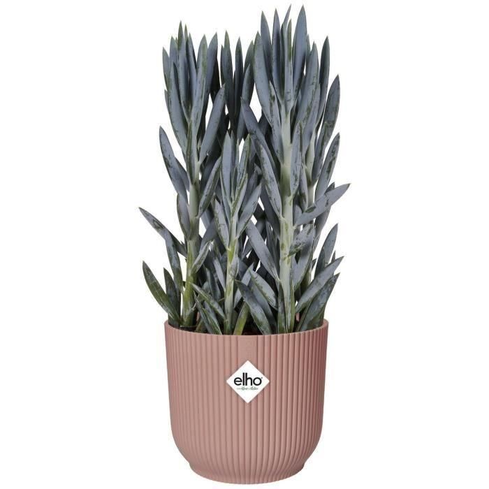 Vibras de maceta de flores redondas - Plastic - Ø22 - Polvo de rosa 3 Vibras de maceta de flores redondas - Plastic - Ø22 - Polvo de rosa 3