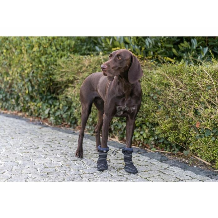 Andador de protección de patas Trixie Negro M/L 4 Andador de protección de patas Trixie Negro M/L 4
