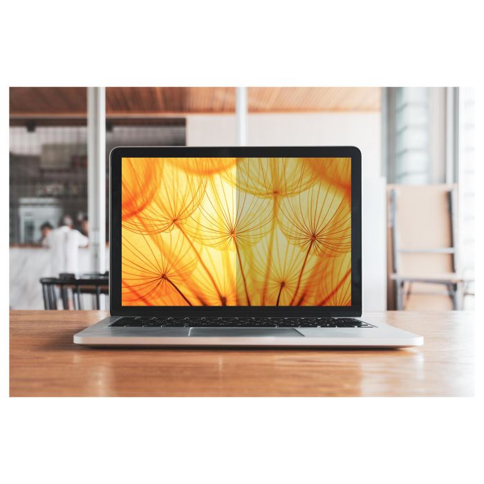 3M Filtro de Privacidad BP156W9B para Notebooks de 15.6" 16:9