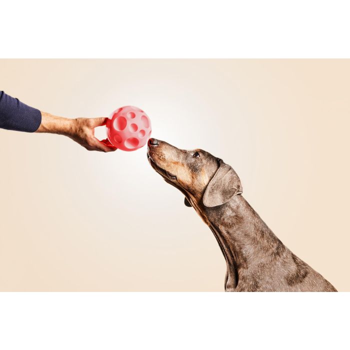 Gloria Bola Dispensadora de Premios y Chuches para Perros | Juguete Interactivo de Goma Resistente para Dispensar Alimentos Ø 12 cm