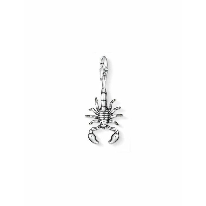 Charm Mujer Thomas Sabo 0653-001-12 Gris 30 mm Charm Mujer Thomas Sabo 0653-001-12 Gris 30 mm