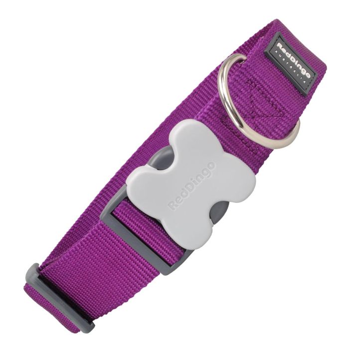 Red Dingo Collar Extra Ancho Morado para Perro de Nylon 40mm x 50-80cm con Anilla D de Acero Inoxidable, Sólido y Cómodo