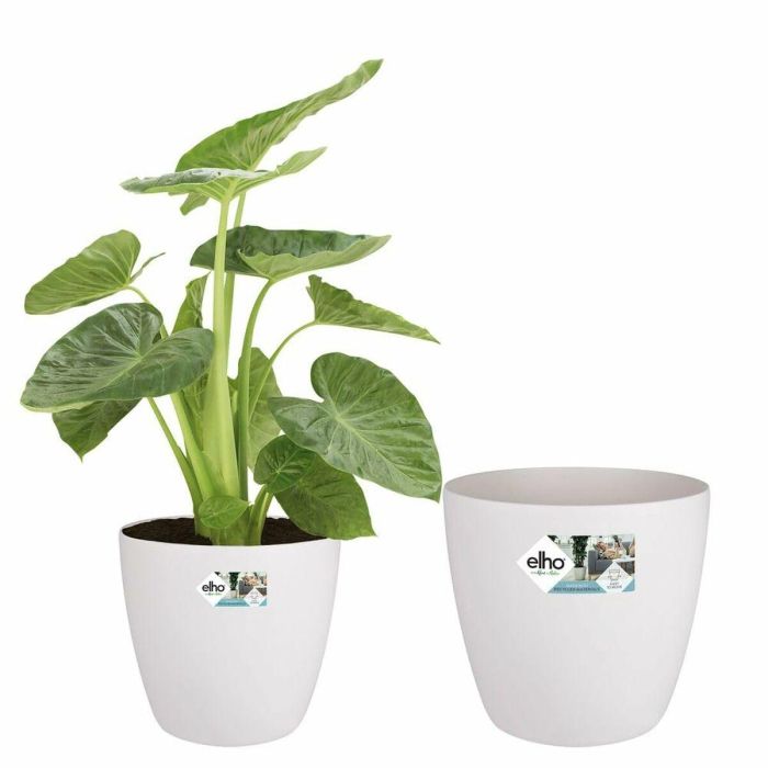 Elho 5643504015041 Juego 2 Maceteros Redondos Bruselas con Ruedas Ø35xH33cm y Ø39xH36.5cm, 55L, Blanco 3 Elho 5643504015041 Juego 2 Maceteros Redondos Bruselas con Ruedas Ø35xH33cm y Ø39xH36.5cm, 55L, Blanco 3