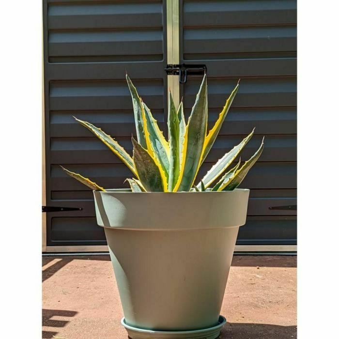 Jardinera redonda RIVIERA SOLEILLA - Plástico - Diámetro 50 cm - Verde arcilla 1 Jardinera redonda RIVIERA SOLEILLA - Plástico - Diámetro 50 cm - Verde arcilla 1