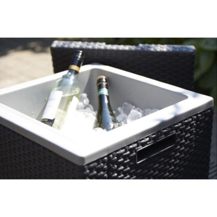 ALLIBERT Keter Mesa de Centro Arcón con Aislamiento Térmico Exterior de Resina Tejida Gris 6