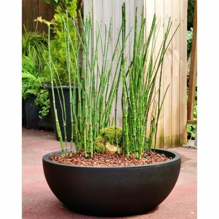 Maceta Riviera RIVIERA Negro Ø 40 cm 1 Maceta Riviera RIVIERA Negro Ø 40 cm 1