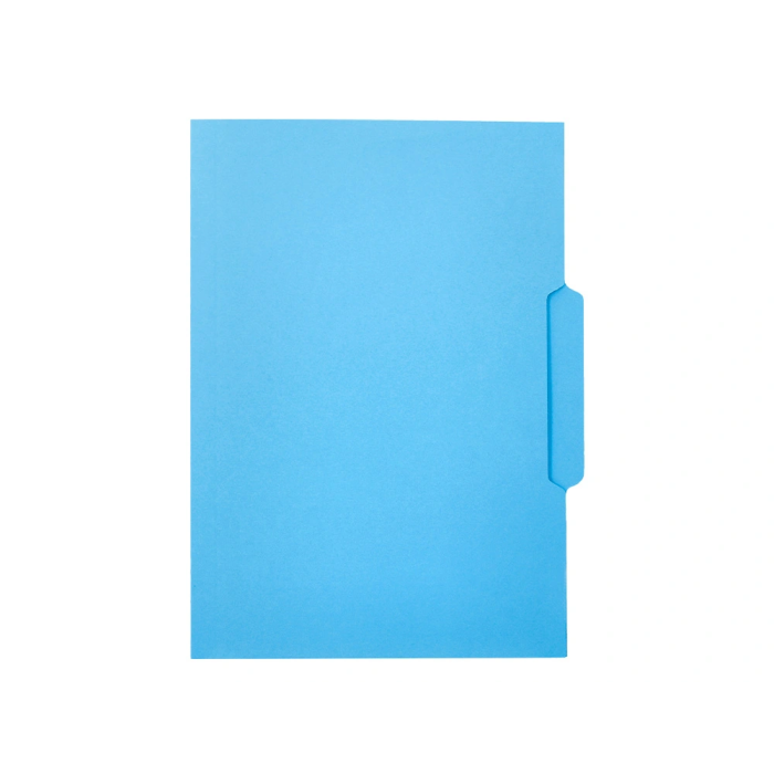 Liderpapel Subcarpeta Cartulina Folio Pestaña Central 240g/m2 Azul 2