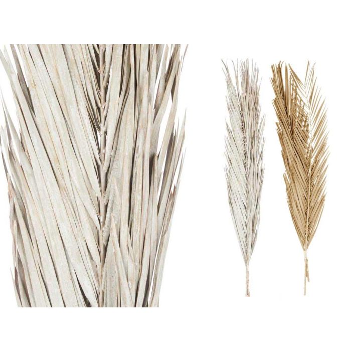 Ramillete Hojas Palmera Surt Blanco y Natural Giftdecor 20x100x4 cm (20 Unidades) 1 Ramillete Hojas Palmera Surt Blanco y Natural Giftdecor 20x100x4 cm (20 Unidades) 1