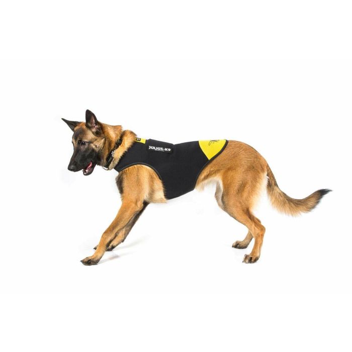 Arnés para Perro Julius K9 IDC L/XL 2 6 Arnés para Perro Julius K9 IDC L/XL 2 6