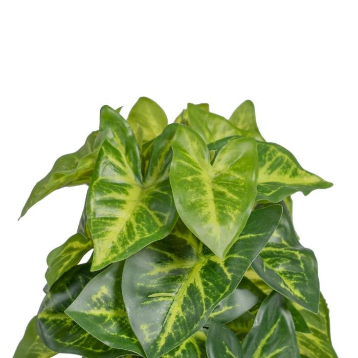 Maceta Taro Verde "Pvc" 15 X 15 X 25 cm