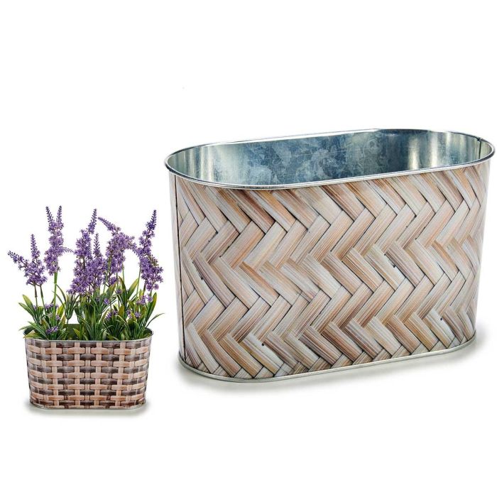 Macetero de metal ovalado alto pequeño mimbre Ibergarden 11.5x12x22.5 cm (24 Unidades) Macetero de metal ovalado alto pequeño mimbre Ibergarden 11.5x12x22.5 cm (24 Unidades)