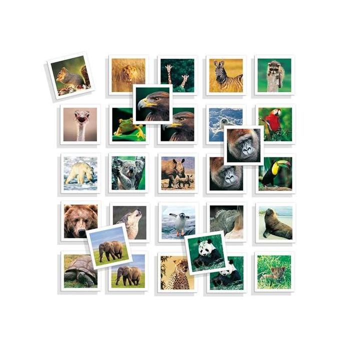 Juego memo photo animales con 54 fichas 1 Juego memo photo animales con 54 fichas 1