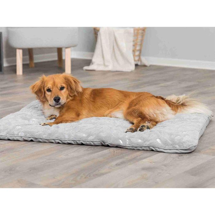 Manta para Mascotas Trixie Feather Gris Plateado Poliéster 100 × 70 CM 4 Manta para Mascotas Trixie Feather Gris Plateado Poliéster 100 × 70 CM 4