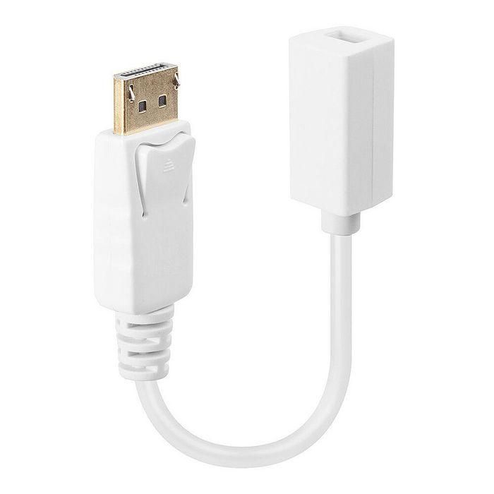 Lindy Adaptador Cable DisplayPort Macho a Mini DisplayPort Hembra