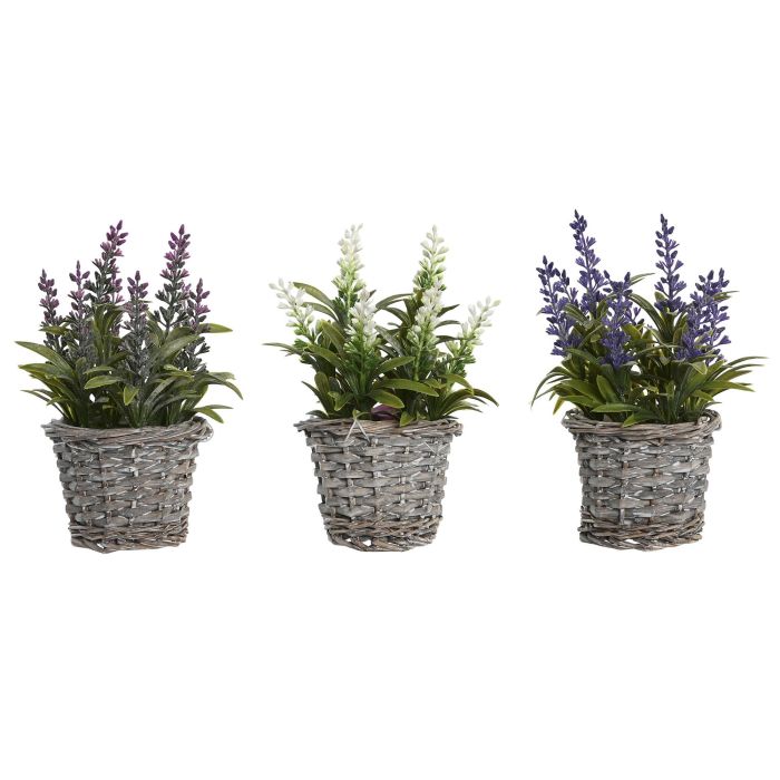 Planta DKD Home Decor Lila Rosa 7 x 20 x 7 cm (12 Unidades)