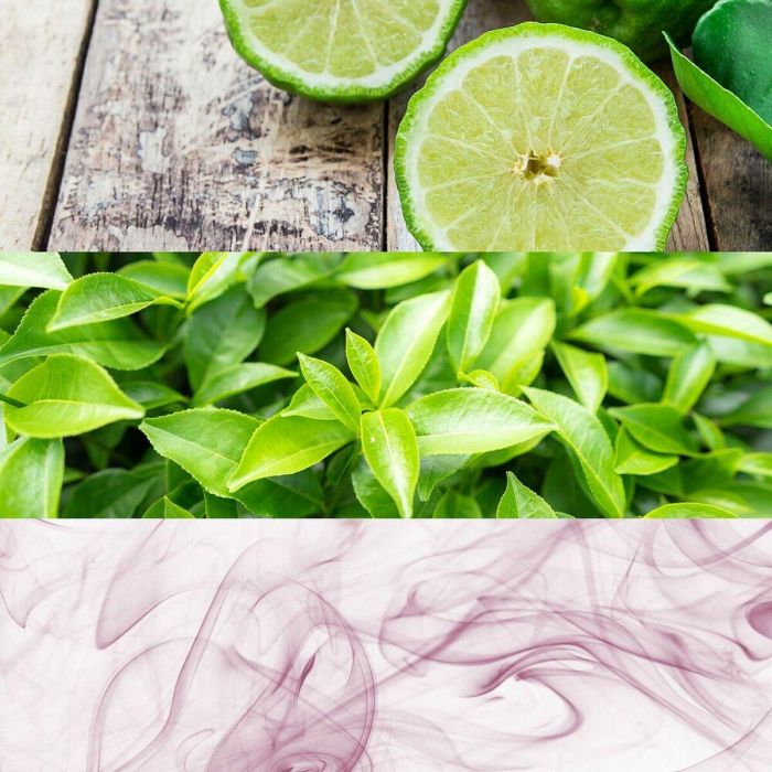 Calvin Klein CK ONE Eau de Toilette Vaporizador 50 ml - Fragancia Unisex 1