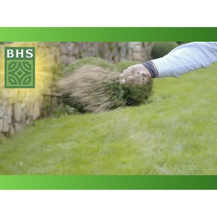 Césped - BHS - Regenerador de césped 5 kg 5 Césped - BHS - Regenerador de césped 5 kg 5