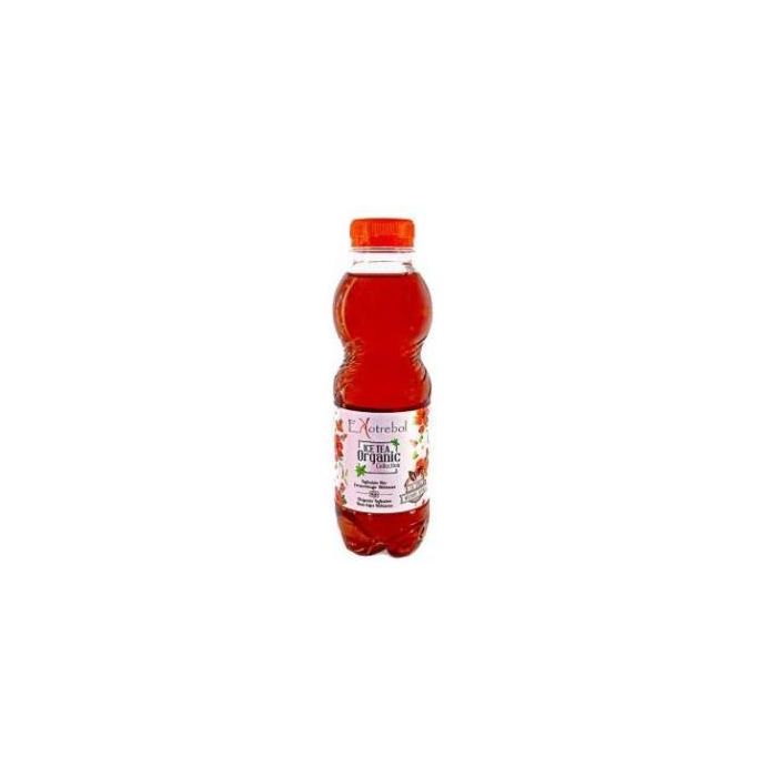 EKOTREBOL Té de Escaramujo e Hibisco sin Teína Ecológico 500ml - Bebida Bio Vegana sin Lactosa