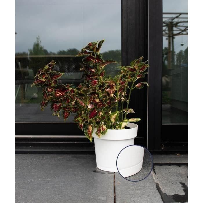 Maceta de reserva de agua - GARDEN ID Glamour - Blanco 40 cm - Superficie granulada - Interior/exterior - Diseño elegante. 1 Maceta de reserva de agua - GARDEN ID Glamour - Blanco 40 cm - Superficie granulada - Interior/exterior - Diseño elegante. 1