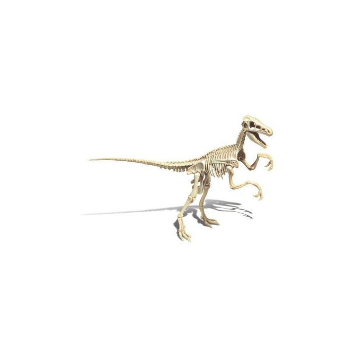 Dinosaurio Clementoni Archéo Ludic Vélociraptor 3