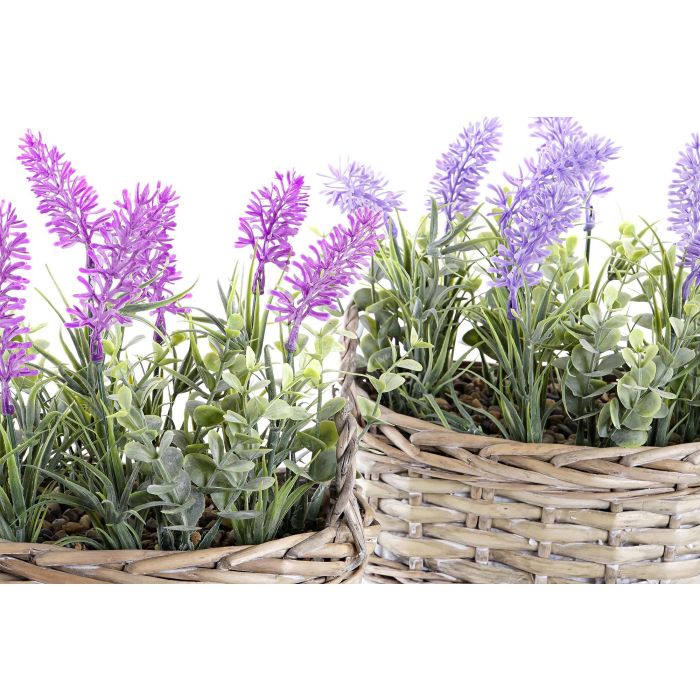 DKD Home Decor Planta Shabby Lila Rosa 19 x 12 x 22 cm (4 Unidades) 2