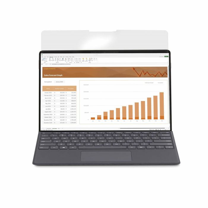 SURFACE PRIVACY SCREEN 2