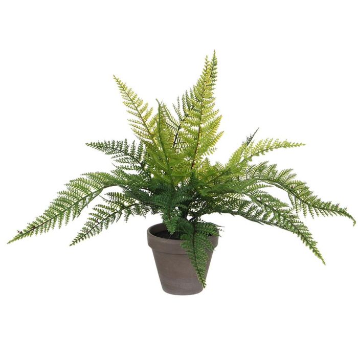 Mica Decorations Helecho verde PVC con maceta cerámica gris 40x11.5cm Mica Decorations Helecho verde PVC con maceta cerámica gris 40x11.5cm