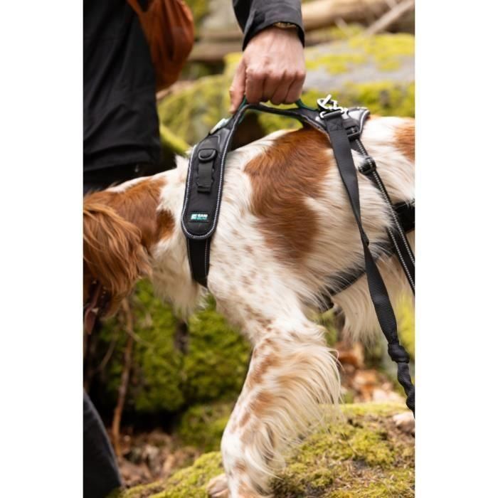 Arnés para perros - SYMBIOZ - XS - Negro / Azul 3 Arnés para perros - SYMBIOZ - XS - Negro / Azul 3