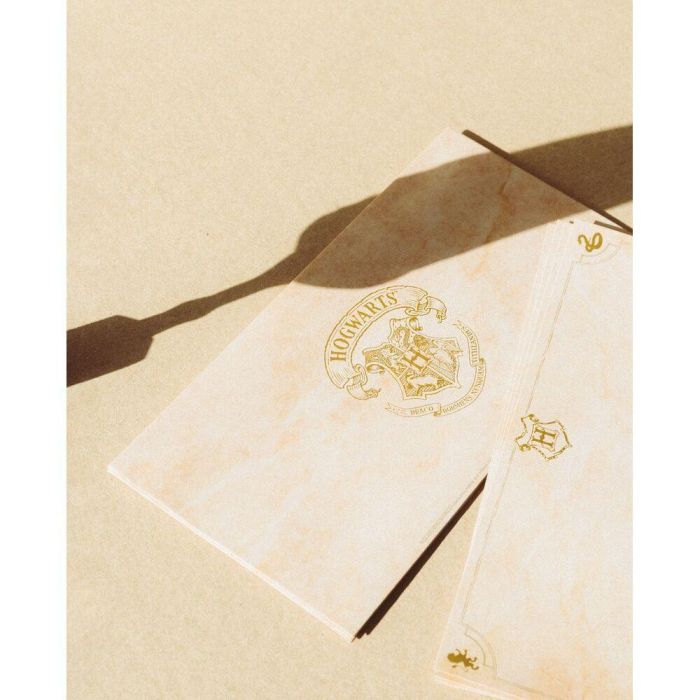 Blister Boligrafo Pluma + Cartas Harry Potter 5