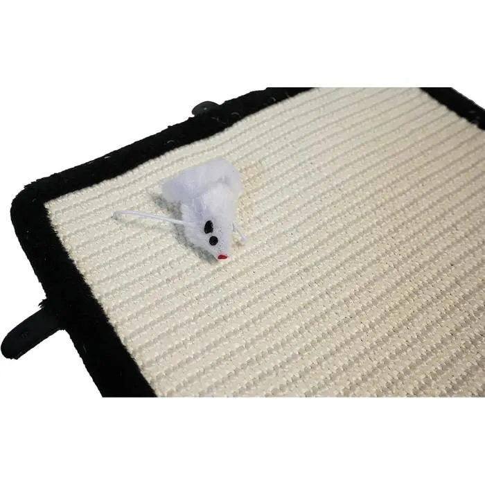AIME Alfombra Rascador para Gatos con Juguete Colgante - 35 x 55 cm 3