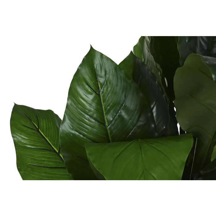 DKD Home Decor Planta Tropical Verde 80 x 80 x 180 cm (2 Unidades) 1 DKD Home Decor Planta Tropical Verde 80 x 80 x 180 cm (2 Unidades) 1