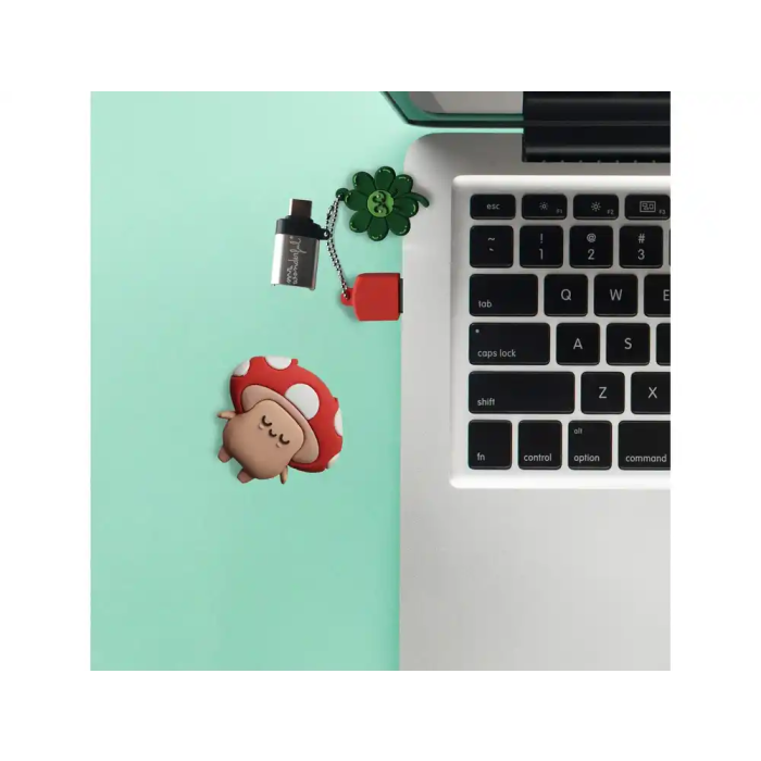 Wondee Mr. Wonderful Llavero USB Seta 32GB Pendrive Compatible con Windows, macOS, Linux y Adaptador USB C 7