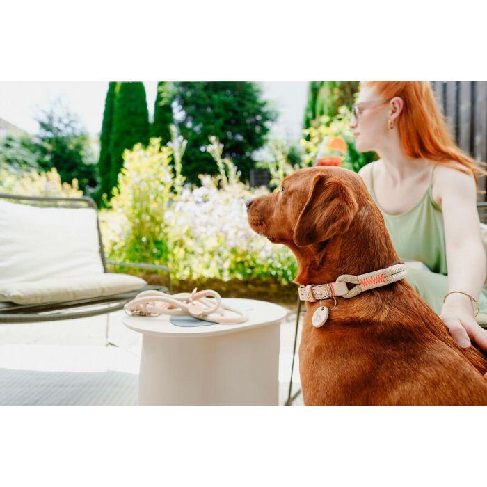 Correa para Perro Hunter MALIA Beige 1 x 200 cm 1 Correa para Perro Hunter MALIA Beige 1 x 200 cm 1