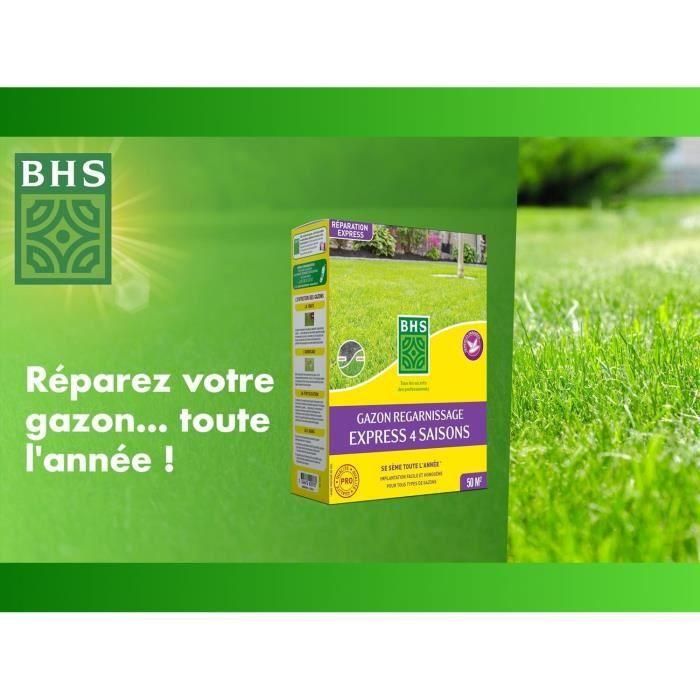 Reparador de césped Top Dress - BHS - 500 g | 20 m² | Semillas recubiertas para una mejor adherencia al suelo. 2 Reparador de césped Top Dress - BHS - 500 g | 20 m² | Semillas recubiertas para una mejor adherencia al suelo. 2