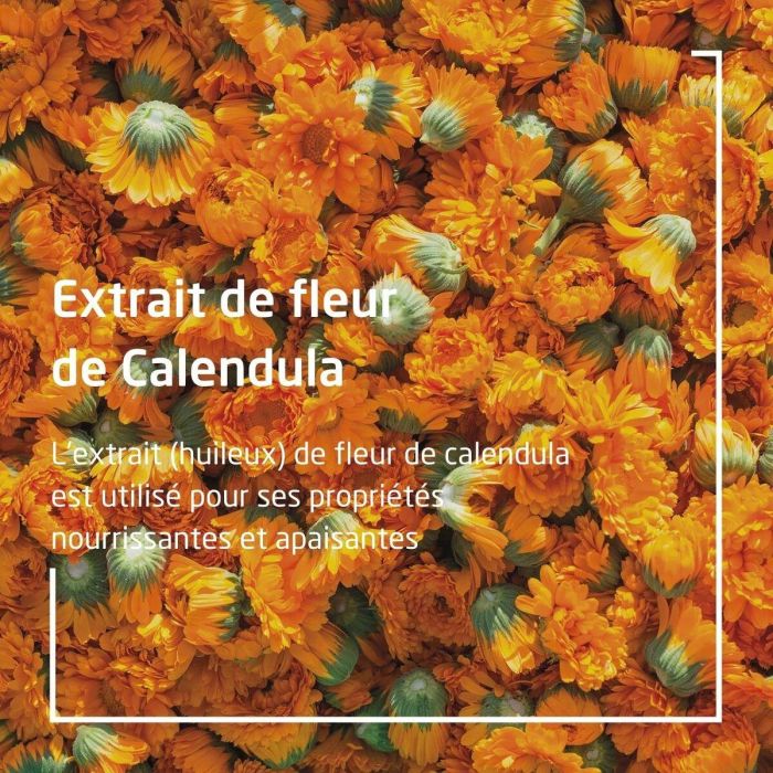 Weleda Loción Corporal Nutritiva con Espino Amarillo 200 ml 1 Weleda Loción Corporal Nutritiva con Espino Amarillo 200 ml 1