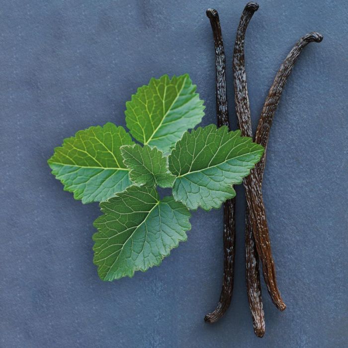 Elie Saab Le Parfum Royal Eau de Parfum Vaporizador Mujer 50 ml