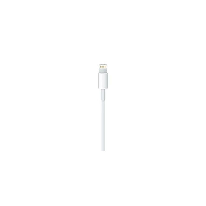 Apple Lightning To Usb Cable 0.5M ME291ZM/A 1