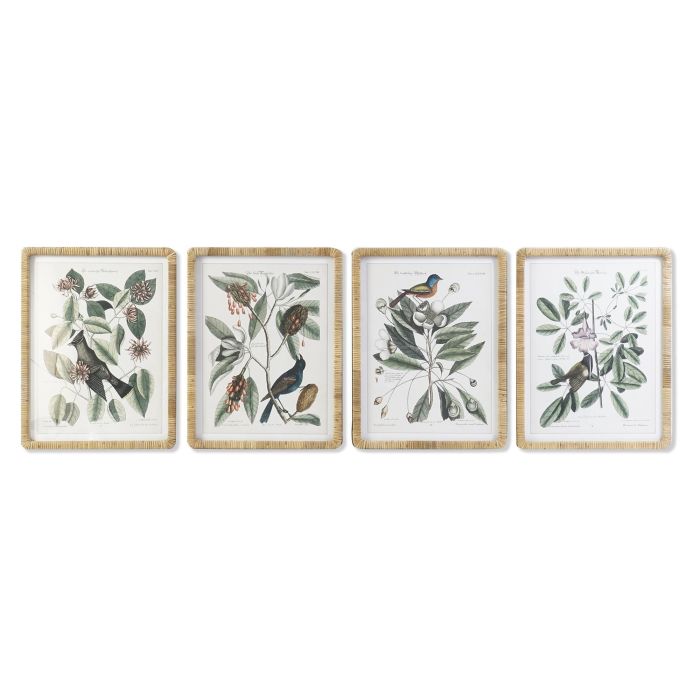Cuadro Shabby DKD Home Decor Verde Beige 2.5 x 65 x 50 cm (4 Unidades)