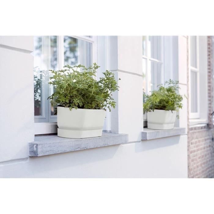 Plantera ovalada Greenville - Plastic - Ø70 - Green de hoja 4 Plantera ovalada Greenville - Plastic - Ø70 - Green de hoja 4